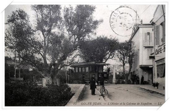 L'olivier et la colonne Napoléon depuis l'avenue de la Gare